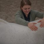 Harmonie Pferd | Pysiotherapie & Training – Galerie 6