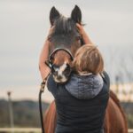Harmonie Pferd | Pysiotherapie & Training – Galerie 4