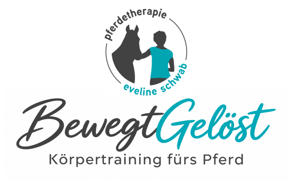 Bild von Pferdetherapie Schwab / Bewegtgelöst
