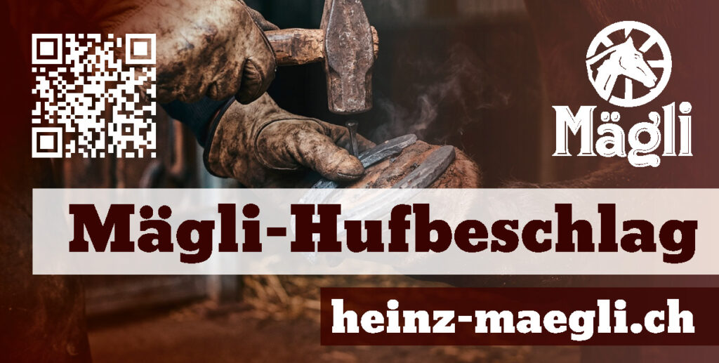 Bild von Hufschmiede Heinz Mägli