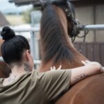 Equisoul - Ganzheitliche Pferdetherapie – Galerie 2