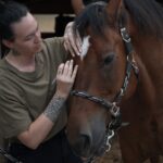 Equisoul - Ganzheitliche Pferdetherapie – Galerie 5