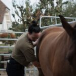 Equisoul - Ganzheitliche Pferdetherapie – Galerie 6